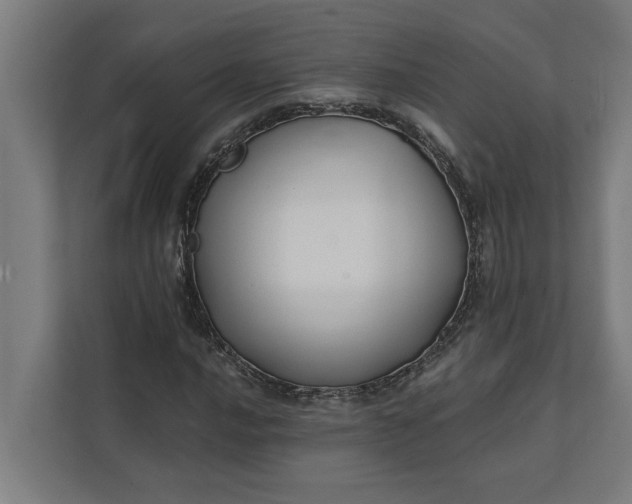 X0000112181016200908211455