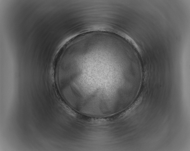 X0000112181019200908211455