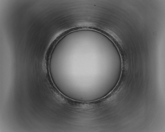 X0000112181022200908211456