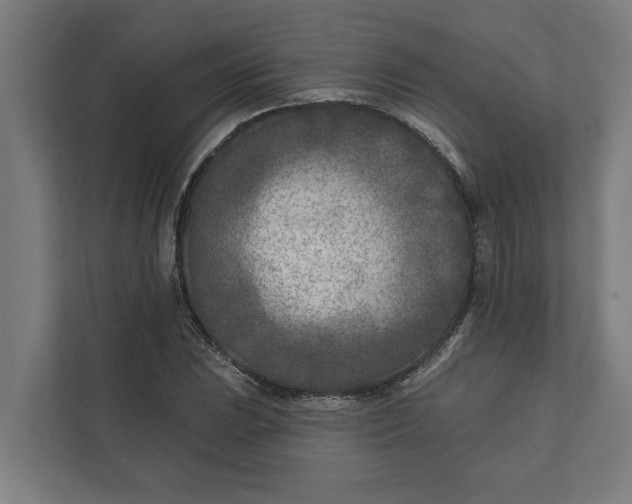 X0000112181023200908211456