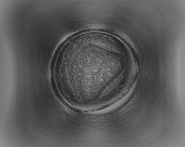 X0000112181024200908211456