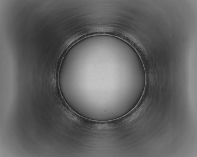 X0000112181025200908211456