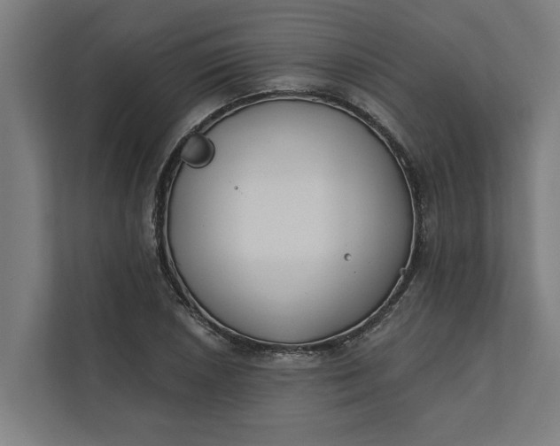 X0000112181026200908211456