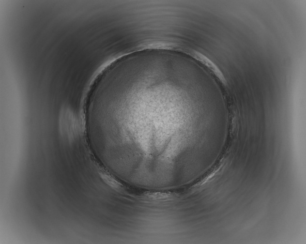 X0000112181027200908211456