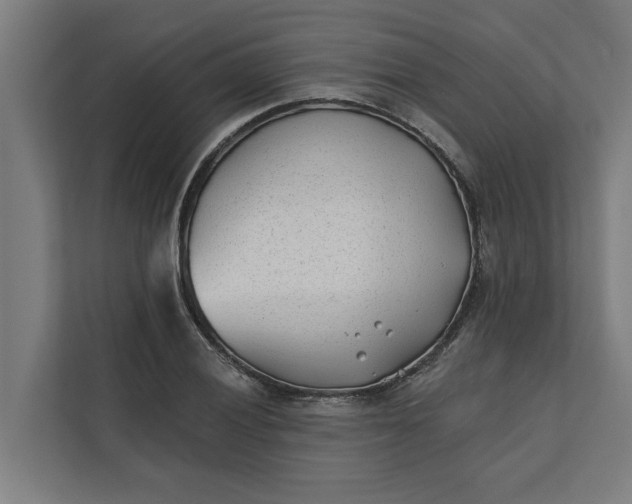 X0000112181028200908211456