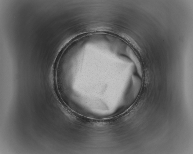 X0000112181031200908211456