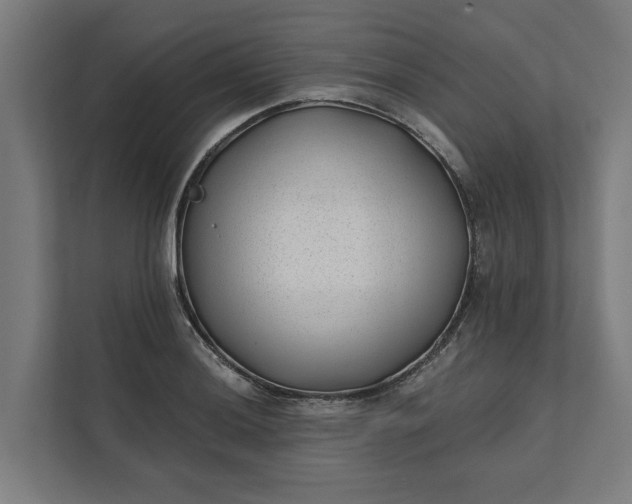 X0000112181036200908211456