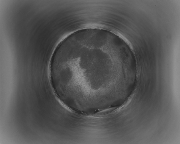 X0000112181037200908211456