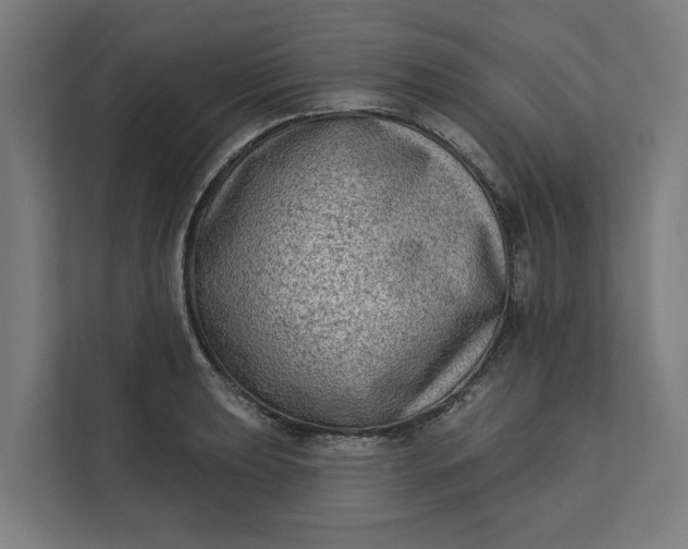 X0000112181039200908211456