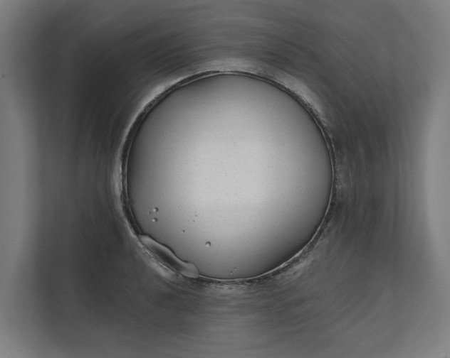 X0000112181040200908211456