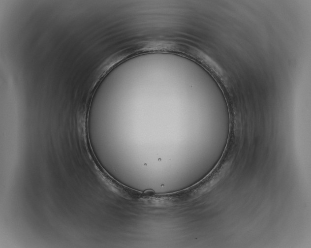 X0000112181041200908211456