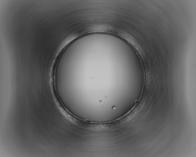 X0000112181042200908211456