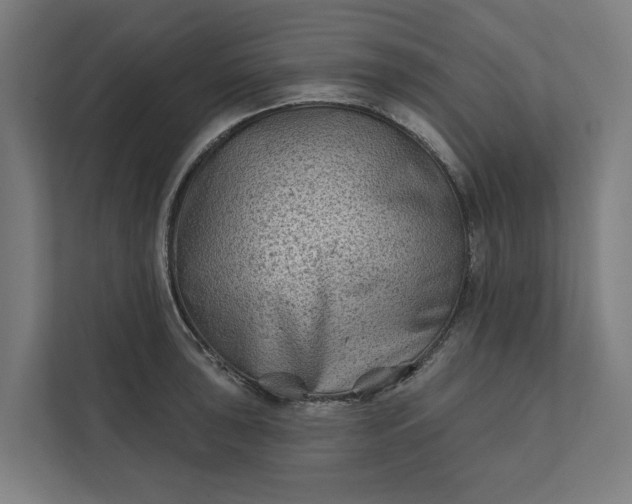 X0000112181043200908211456