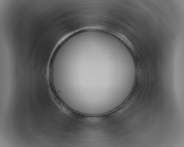 X0000112181044200908211456