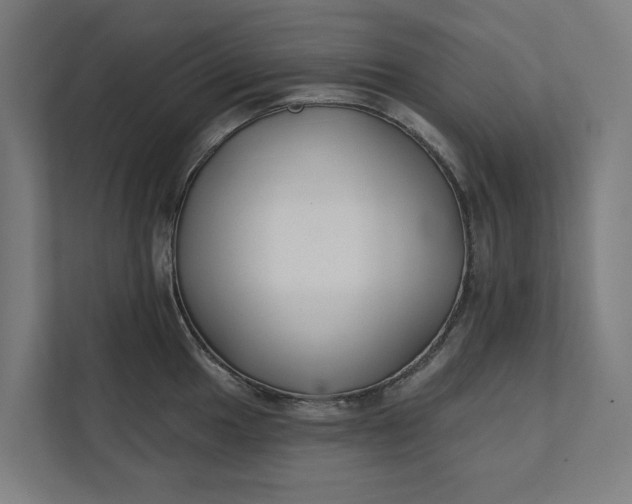 X0000112181049200908211456