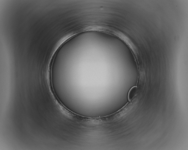 X0000112181050200908211456