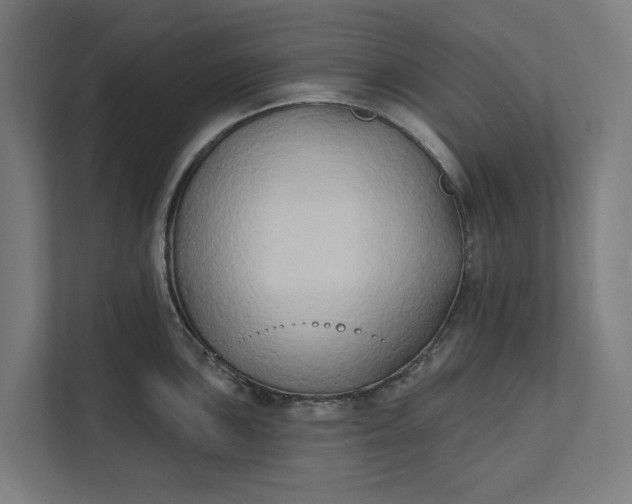 X0000112181051200908211456