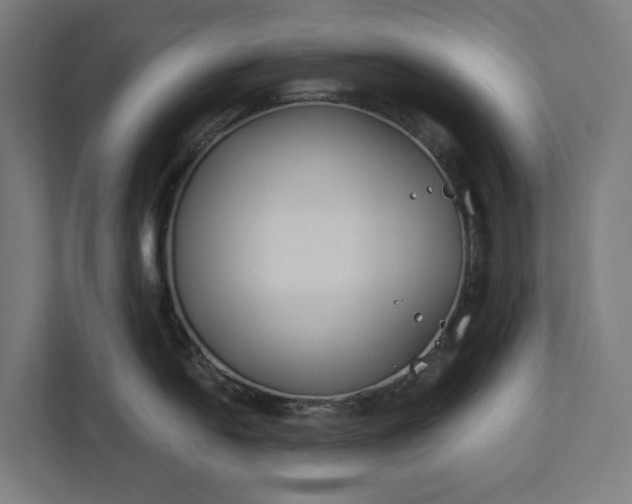 X0000112181054200908211456