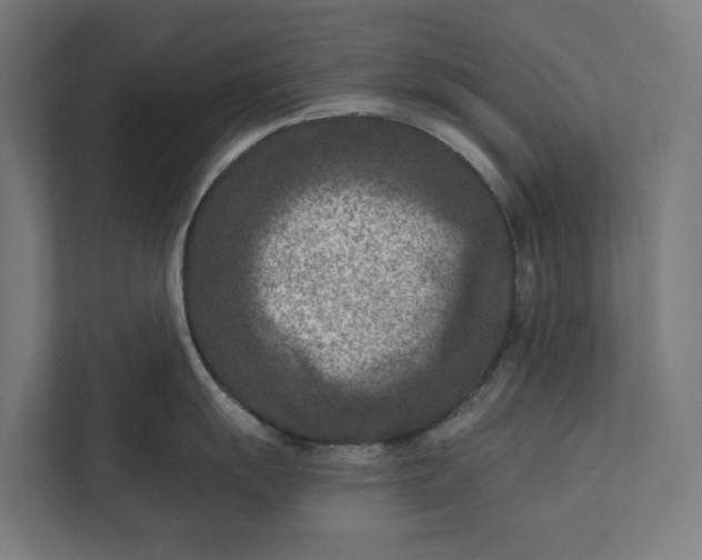 X0000112181055200908211456