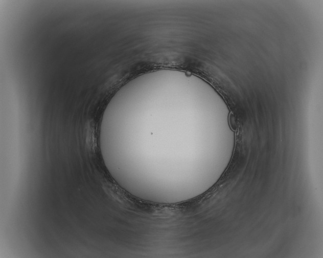 X0000112181058200908211455