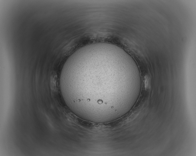 X0000112181059200908211455