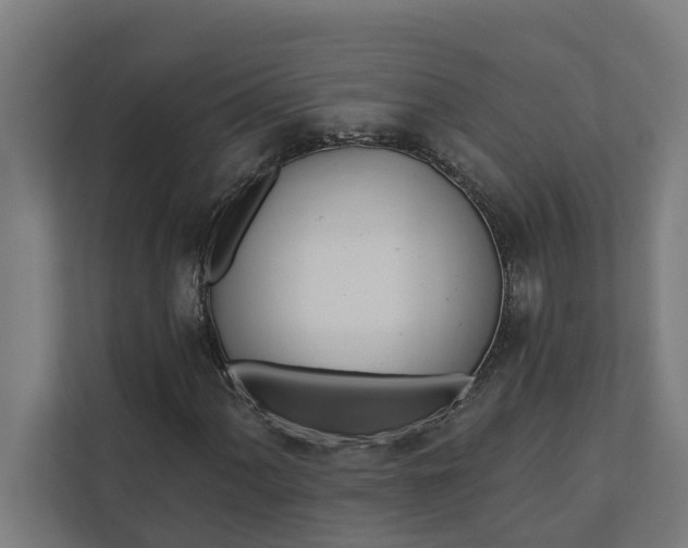 X0000112181060200908211455