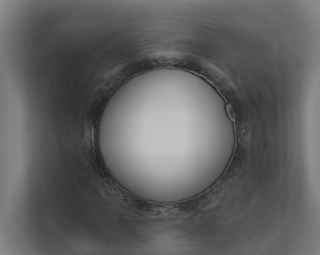 X0000112181061200908211455