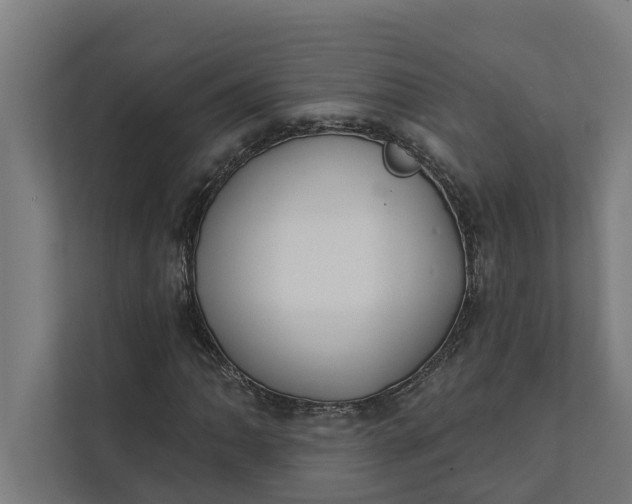 X0000112181062200908211455