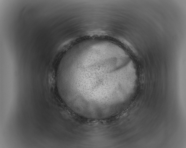 X0000112181063200908211455