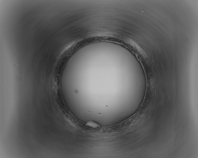 X0000112181064200908211455