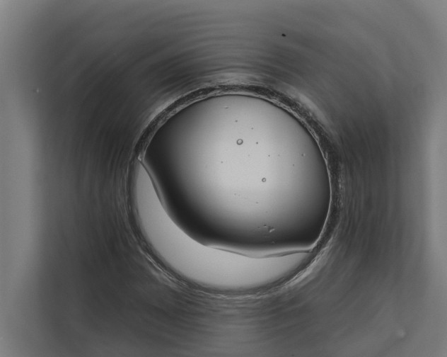 X0000112181065200908211455