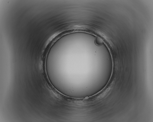 X0000112181066200908211455