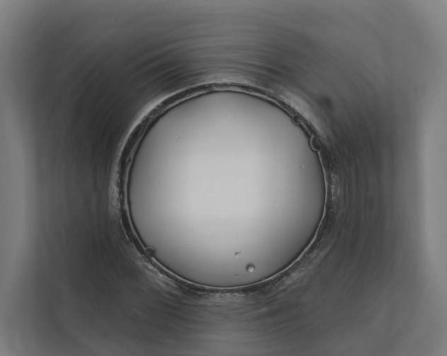 X0000112181068200908211455