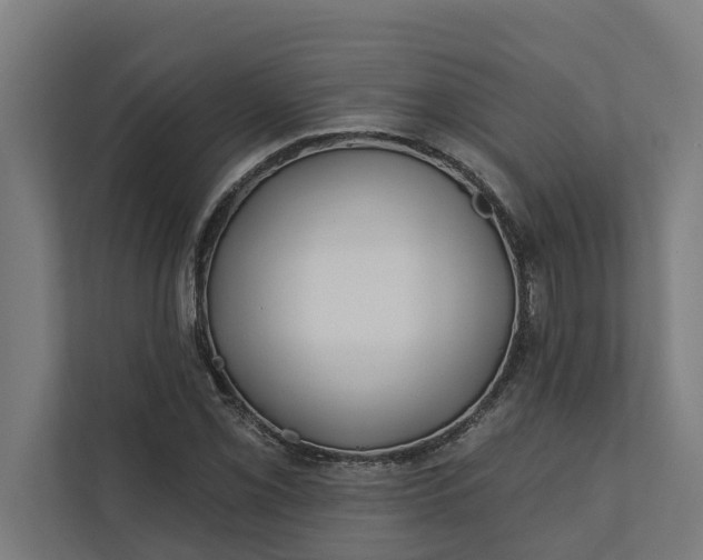 X0000112181069200908211455