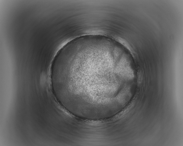 X0000112181071200908211455