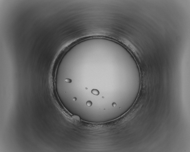 X0000112181072200908211455