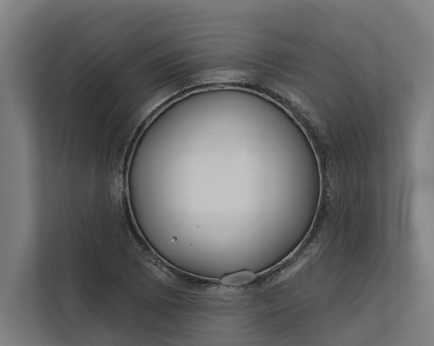 X0000112181073200908211455