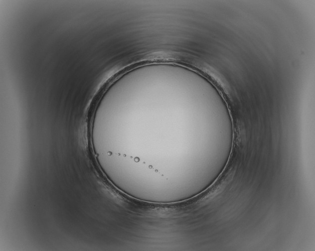 X0000112181075200908211455