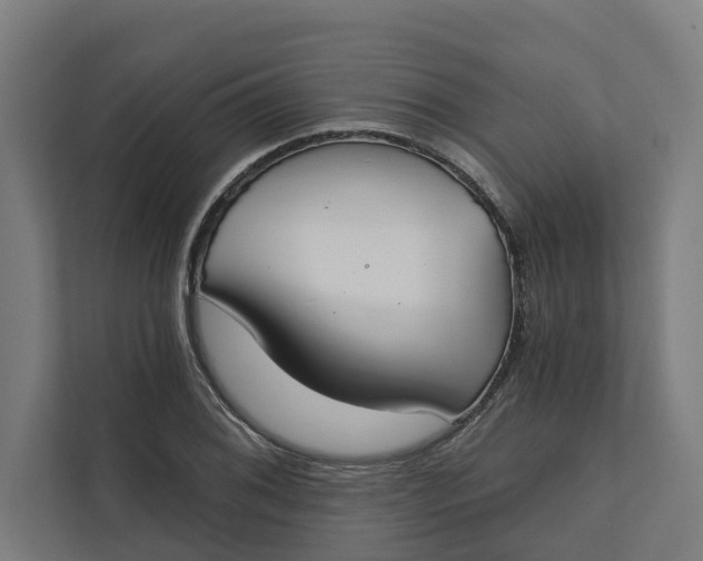 X0000112181076200908211455