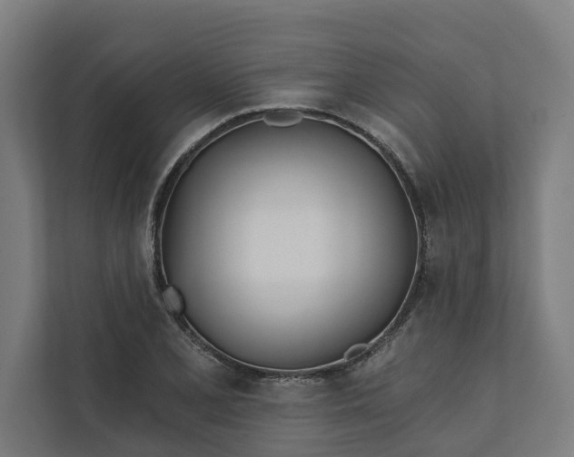 X0000112181077200908211455