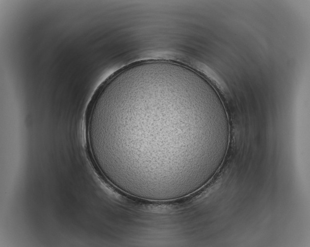 X0000112181079200908211455