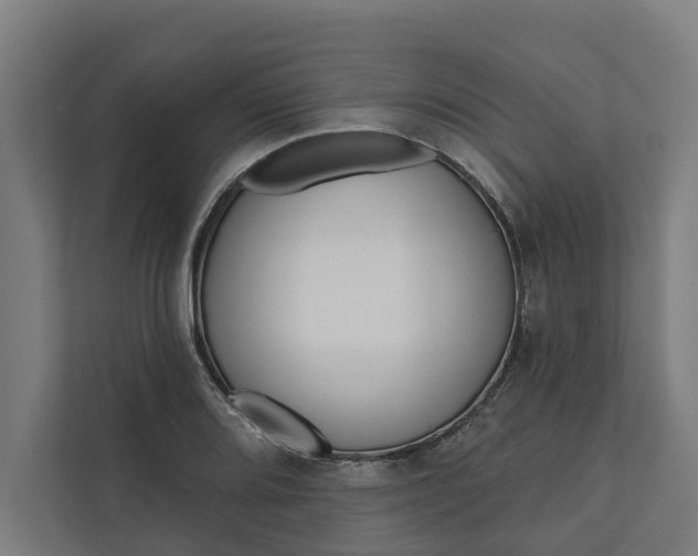 X0000112181080200908211455