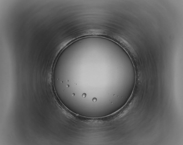 X0000112181081200908211455