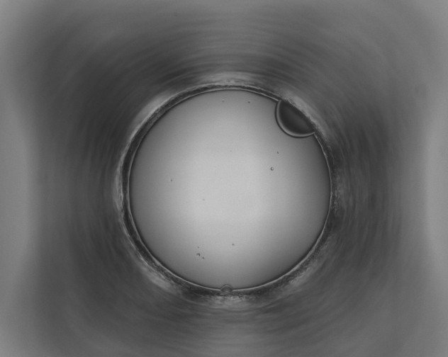 X0000112181082200908211455