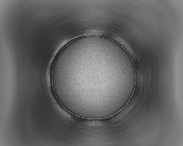 X0000112181083200908211455