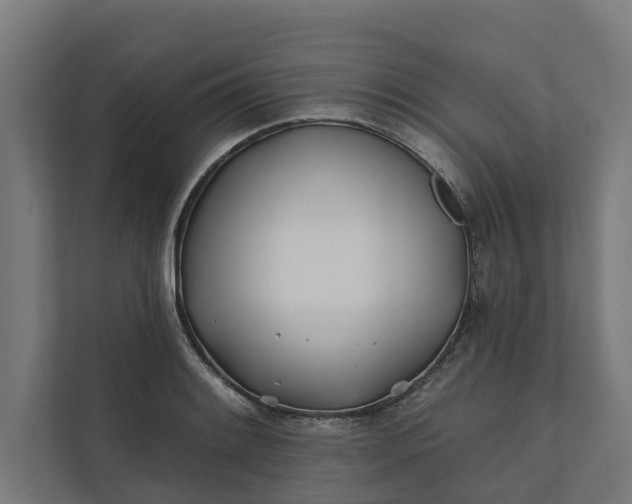 X0000112181084200908211455