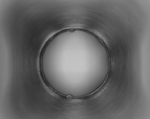 X0000112181085200908211455