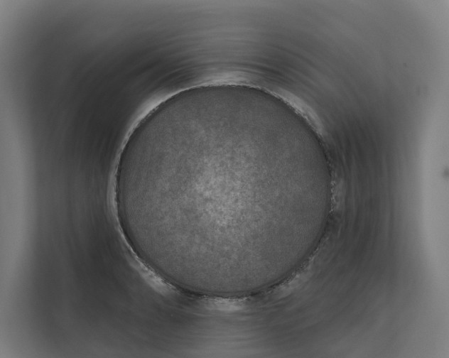 X0000112181086200908211455