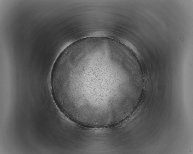 X0000112181087200908211455