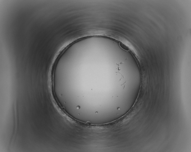 X0000112181088200908211455